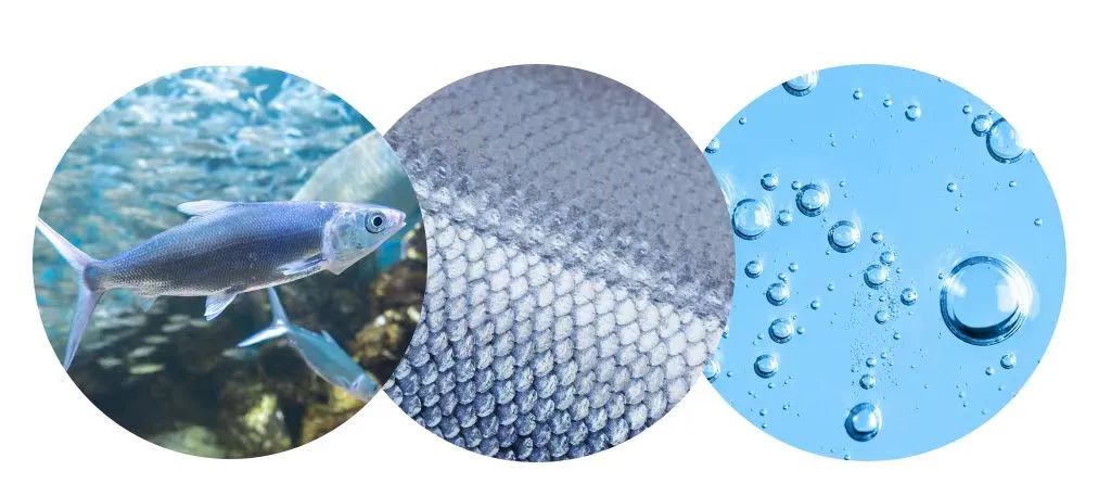 3133cc拉斯维加斯·(中国游)官方网站